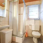 Appartement Castellani Fiesch