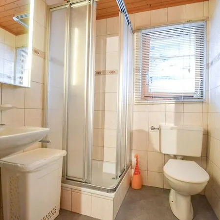 Apartment Castellani Fiesch